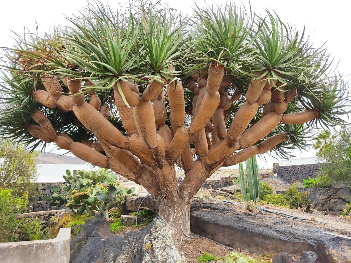 Casa Ico Lanzarote Dom wakacyjny Tías